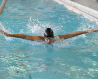 SWIMMING GIRLS