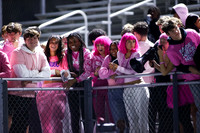 SPF_fans_18