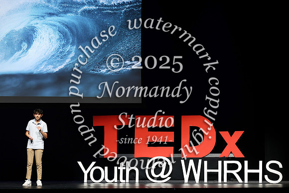 WTG_TEDx_040