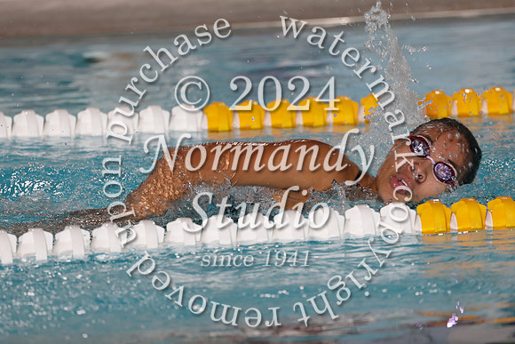 CHS_sw-g_34