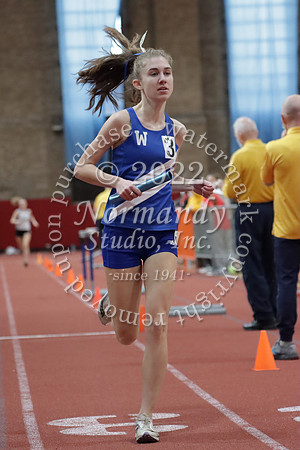 WHS_37_wt-g