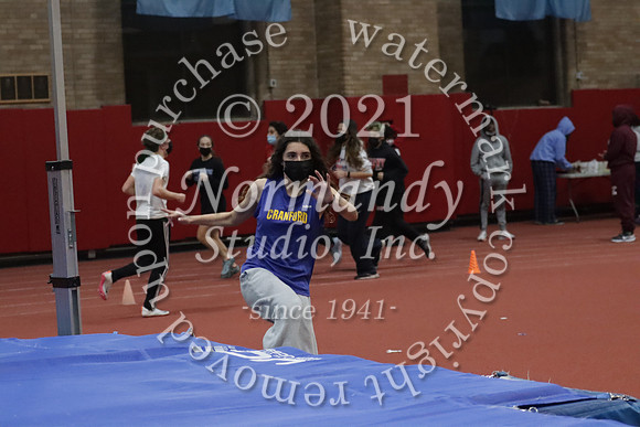 CHS_01_wt-g
