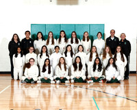 RDF_fe-g-t_05