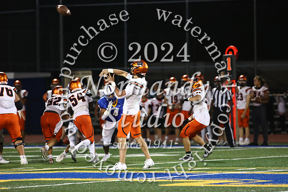 SVL_fb_33