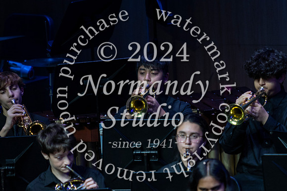 WTG_concert_41