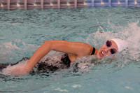 WHS_sw-g_05