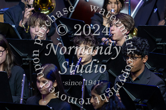 WTG_concert_33