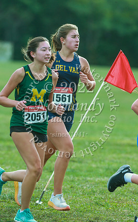 DVH_cc-g_44