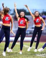 LIB_dt_19