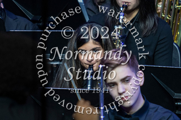 WTG_concert_28