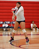 LIB_vb-g_19