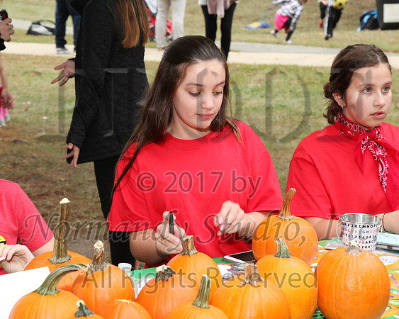 MNP_014_bbq