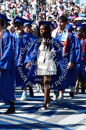 SPF_PROCESSION_VISITOR_32