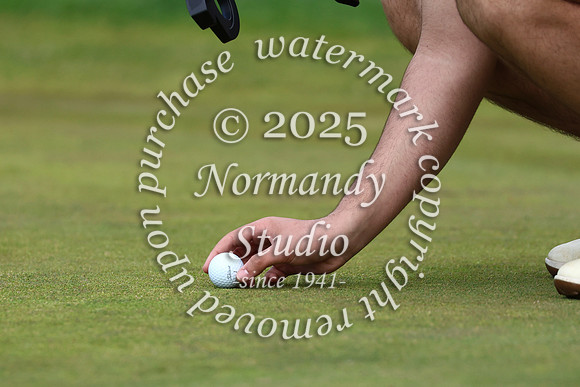 SPF_go_72