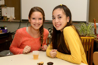 CHS_008_slc