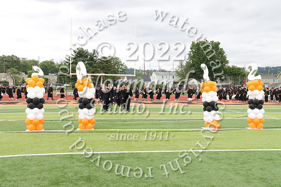 SVL_grad_003
