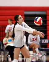 LIB_vb-g_07