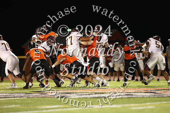 SVL_fb_41