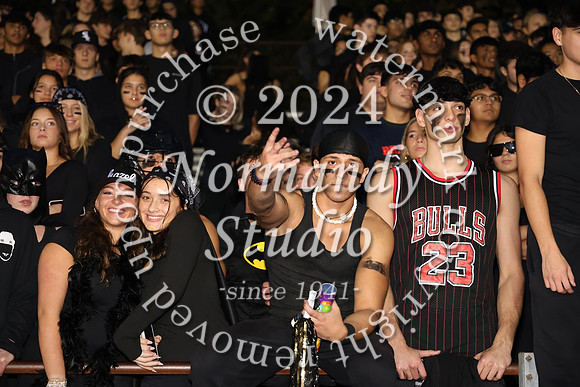 MNP_fans_09