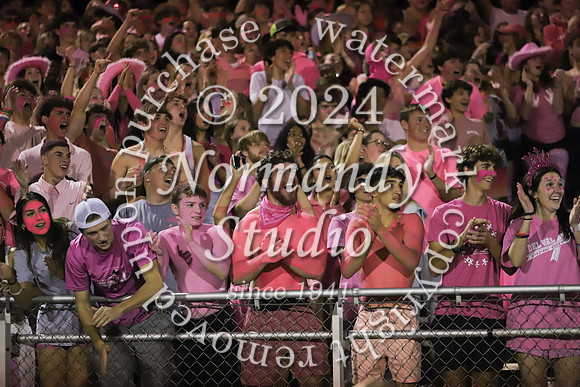 DVH_fans_45