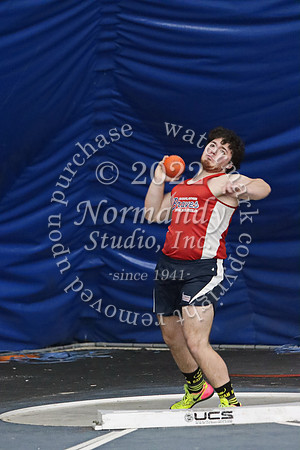 MNP_031_wt-b