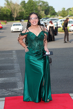 FTH_sr_prom_051
