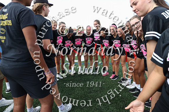 MON_powder_puff_009
