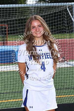 WHS_fh-srs_381