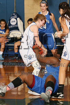 WHS_33_bb-g