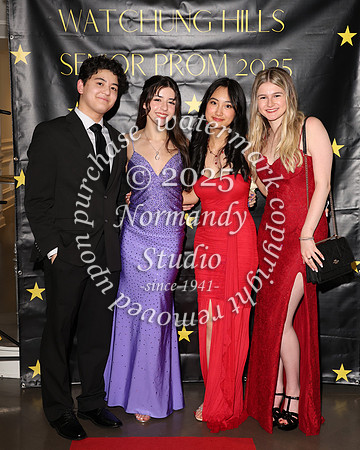 WTG_sr_prom_037