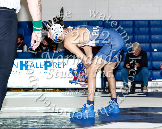 SHP_29_wr-v