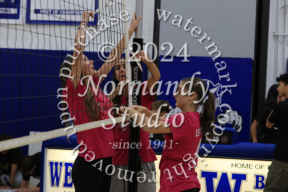 WHS_vb-game_02