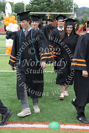 SVL_grad_049