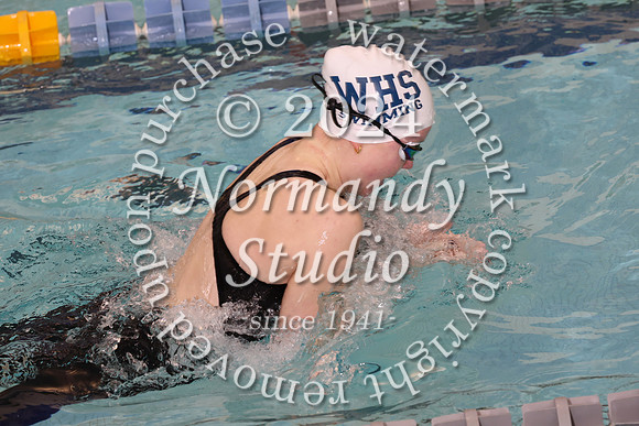 WHS_sw-g_53