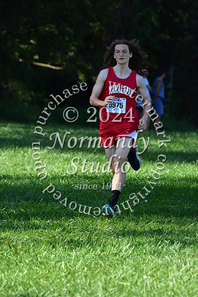 MNP_cc-g+b-j_11