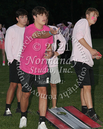ALJ_29_pink-out