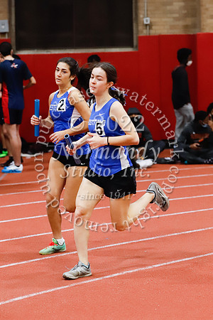 WHS_63_wt-g