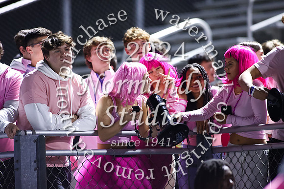 SPF_fans_50