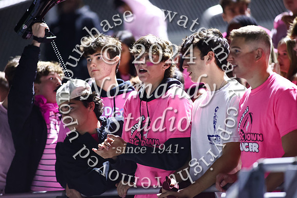 SPF_fans_34