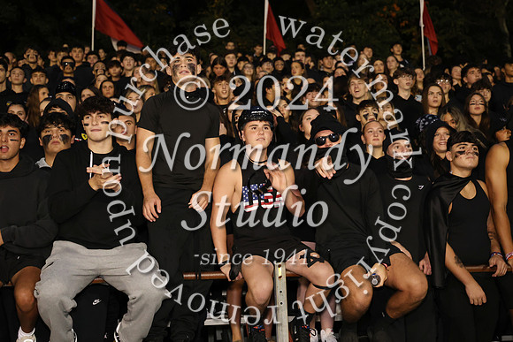 MNP_fans_04
