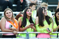 RAM_fans_11