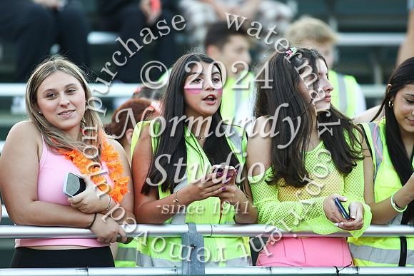 RAM_fans_11