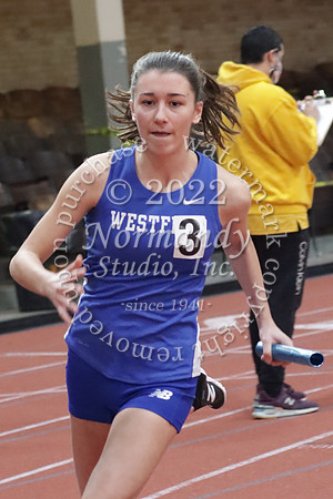 WHS_11_wt-g
