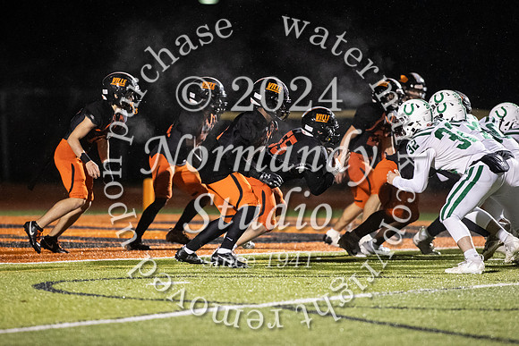SVL_fb_02