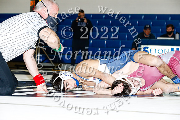 SHP_41_wr-v