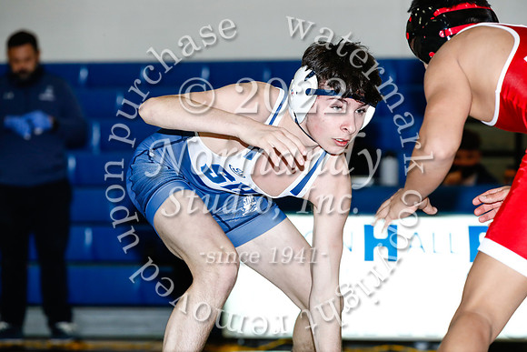 SHP_49_wr-v