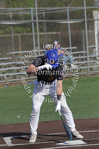 CHS_bb-v_75
