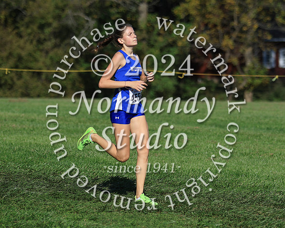 WHS_cc-g_36