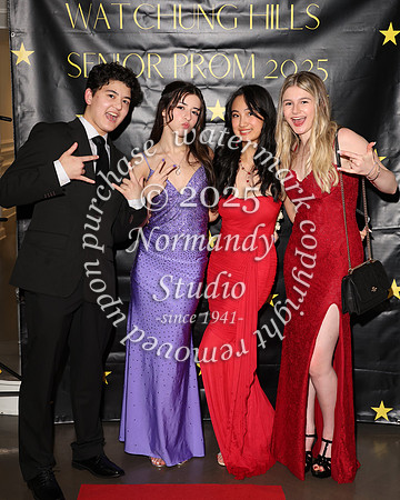 WTG_sr_prom_036