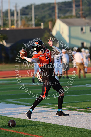 SVL_fb_08
